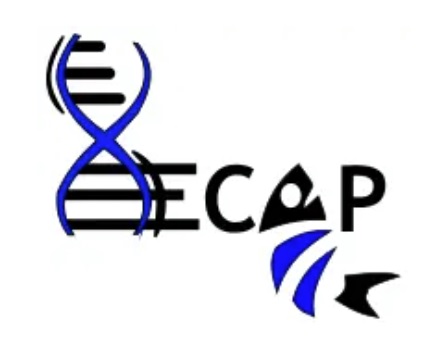 ECAP_logo_blanc